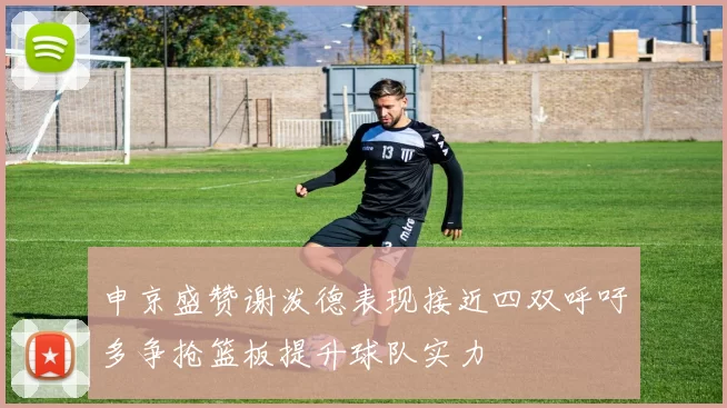 申京盛赞谢泼德表现接近四双呼吁多争抢篮板提升球队实力