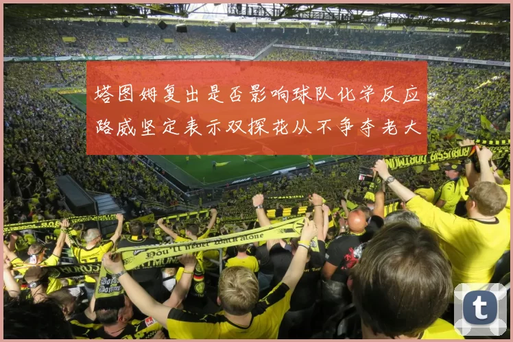 塔图姆复出是否影响球队化学反应路威坚定表示双探花从不争夺老大地位