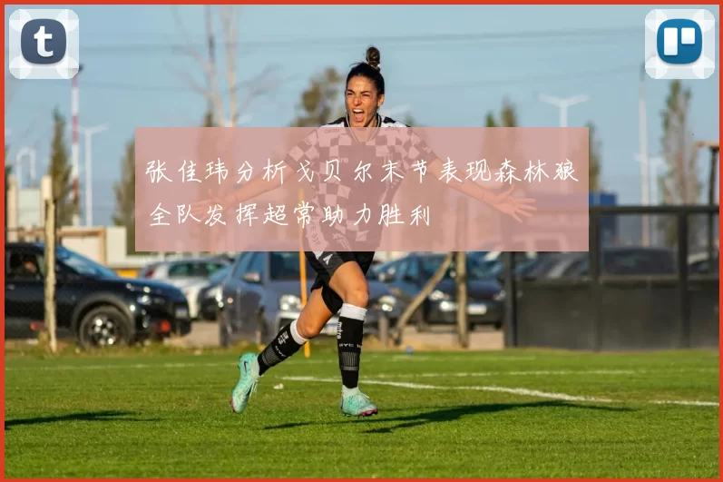 张佳玮分析戈贝尔末节表现森林狼全队发挥超常助力胜利